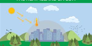 What Is the Heat Urban Island Effect?