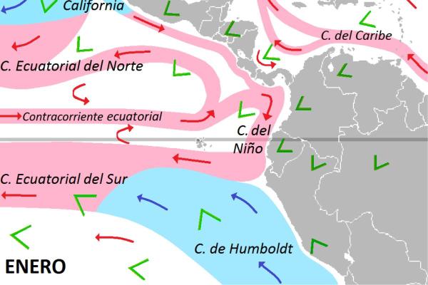 What Is the Humboldt Current? - What is the Humboldt Current?