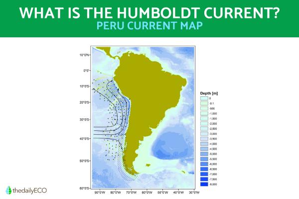 What Is the Humboldt Current?