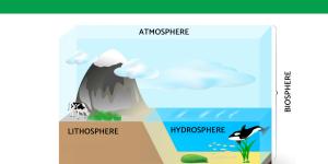 What Is the Hydrosphere? - Definition and Facts