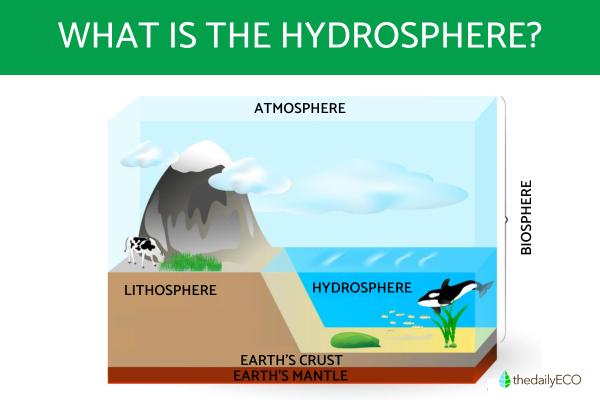 What Is the Hydrosphere? - Definition and Facts