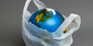 What Is the Impact of Plastic Bags on the Environment?
