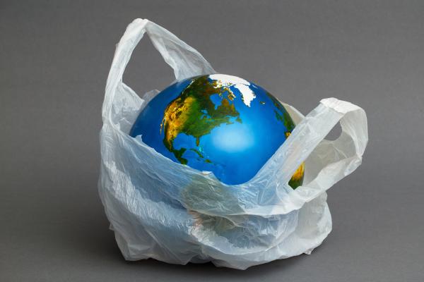 What Is the Impact of Plastic Bags on the Environment?