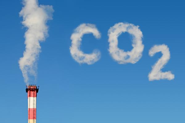Understanding the Carbon Cycle - What is the importance of the carbon cycle?