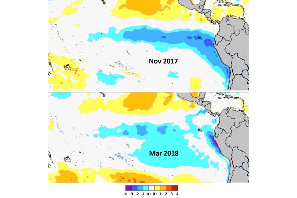 La Niña Phenomenon - What It Is, Causes and Consequences - What is the La Niña phenomenon?