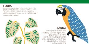 What Is the Meaning of Flora and Fauna?