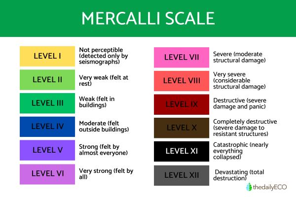 What Is the Mercalli Scale?