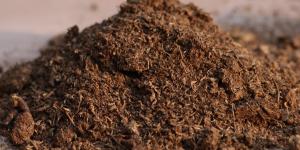 What Is the Purpose of Peat Moss?