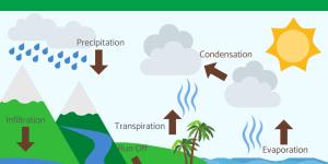 What Is the Water Cycle and Its Importance?