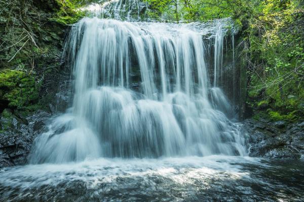 What Are Total Dissolved Solids (TDS)? - What is Total Dissolved Solids (TDS)?