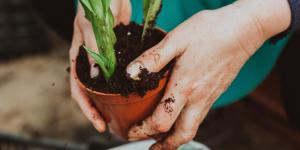 What Is Universal Soil?