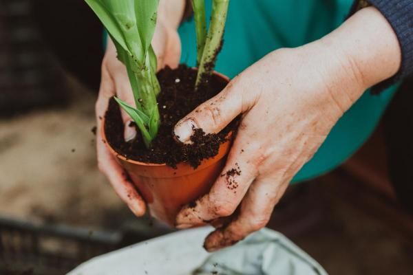 What Is Universal Soil?
