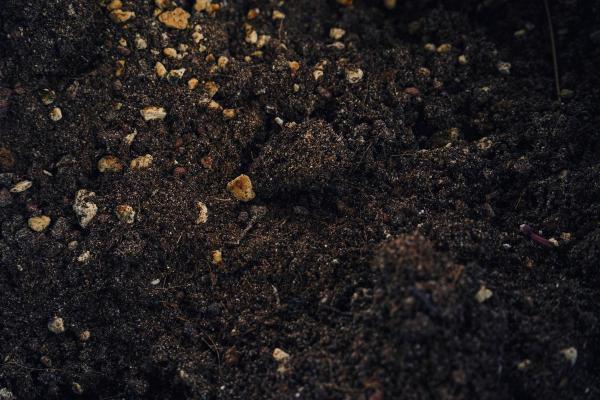 What Is Universal Soil? - What is universal soil for plants?