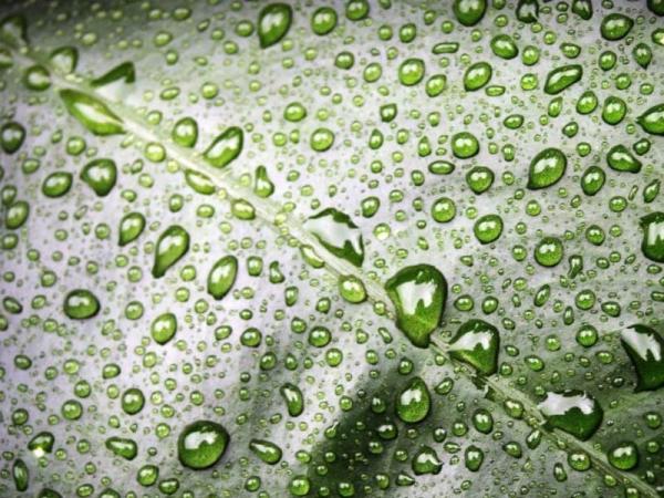 What Is Water Condensation? - What is water condensation?