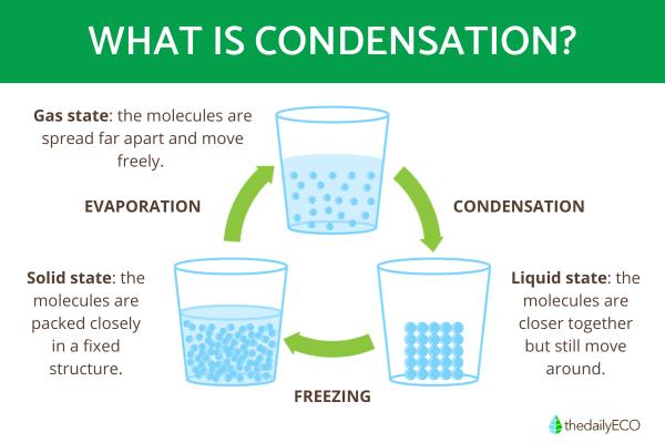 What Is Water Condensation?