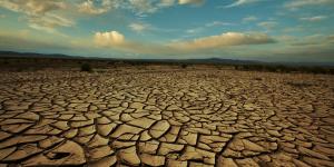 What Is Water Stress?