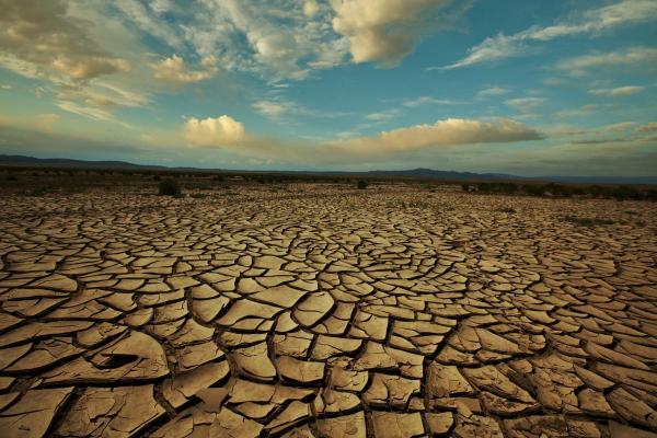 What Is Water Stress?