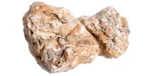 What Is Whale Vomit or Ambergris?