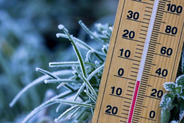 What Is Wind Chill and How Is It Calculated?