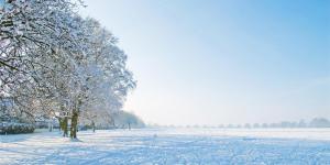 What Is World Snow Day?