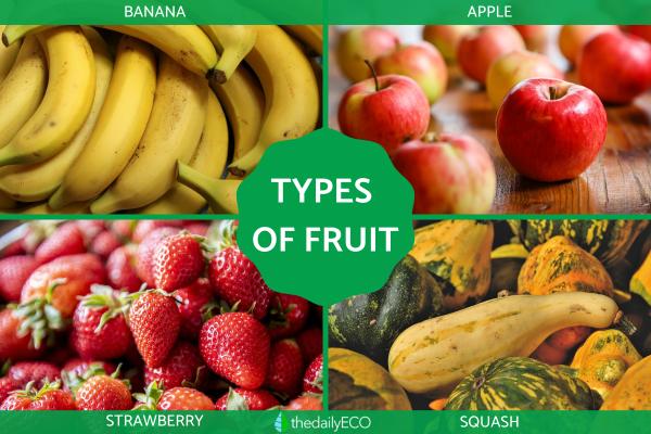 Difference Between a Fruit vs. Vegetable - What makes a fruit a fruit?