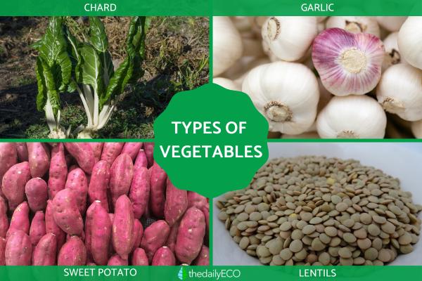 Difference Between a Fruit vs. Vegetable - What makes a vegetable a vegetable?