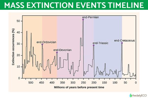What Causes Mass Extinctions? - What ¡mass extinctions have occurred on Earth?