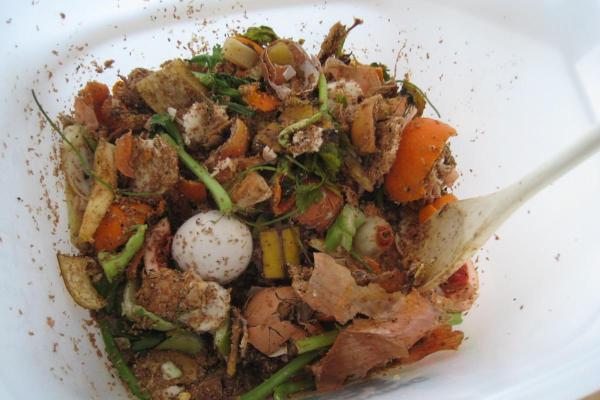 Differences Between Compost and Fertilizer - What types of fertilizer are there?