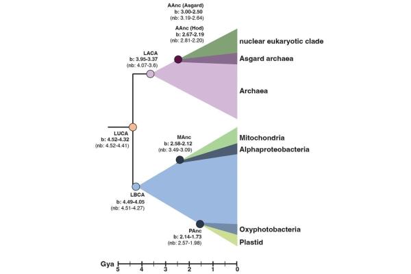 What Is the Last Known Universal Ancestor? - When did LUCA first appear on Earth?