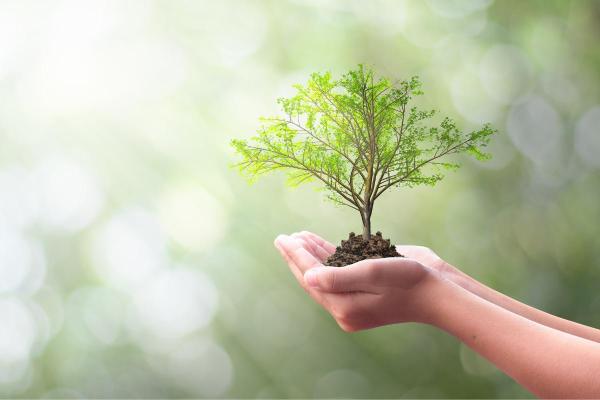 Why Do We Celebrate Earth Day? - When is Earth Day?