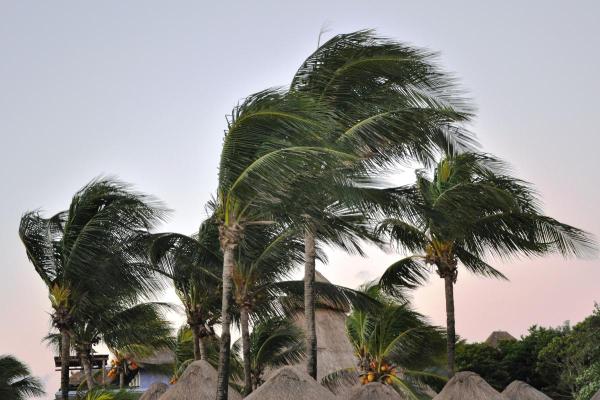 When Is It Considered Strong Wind?