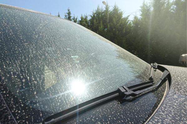 What Is Mud Rain? - Causes of Rain Dust - When is mud rain most common?