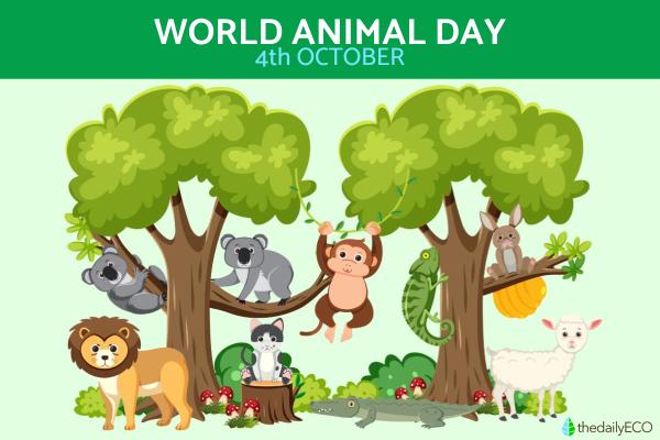 When Is World Animal Day Celebrated?