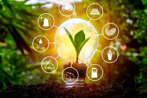 When is World Energy Efficiency Day? - When is World Energy Efficiency Day?
