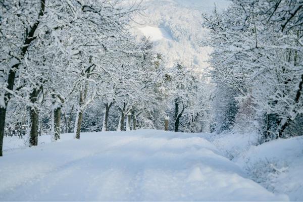What Is World Snow Day? - When is World Snow Day?