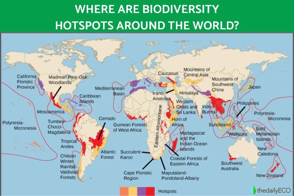 What Is a Biodiversity Hotspot? - Ecological Hotpots - Where are biodiversity hotspots?