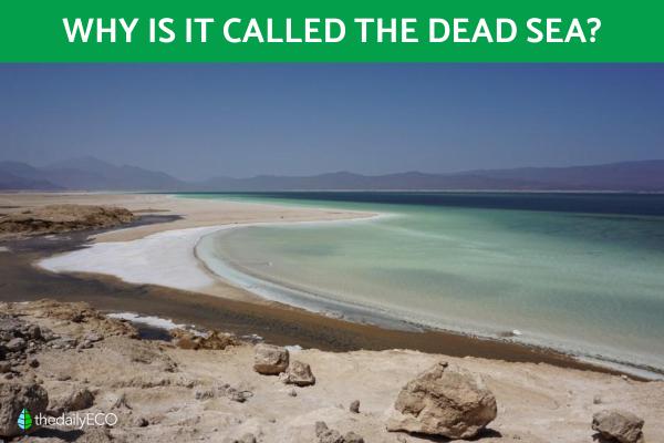 Where Did the Dead Sea Get Its Name?