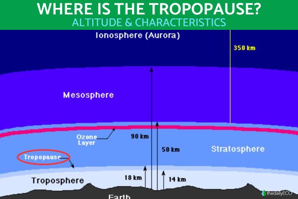 Where Is the Tropopause?