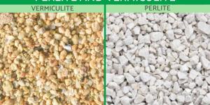 Which Is Better Perlite or Vermiculite?