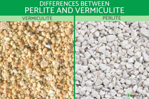 Which Is Better Perlite or Vermiculite?