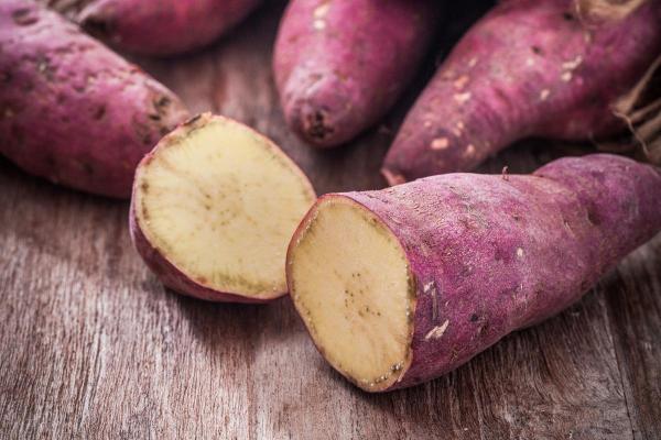 Different Types of Sweet Potato - White sweet potatoes or boniato