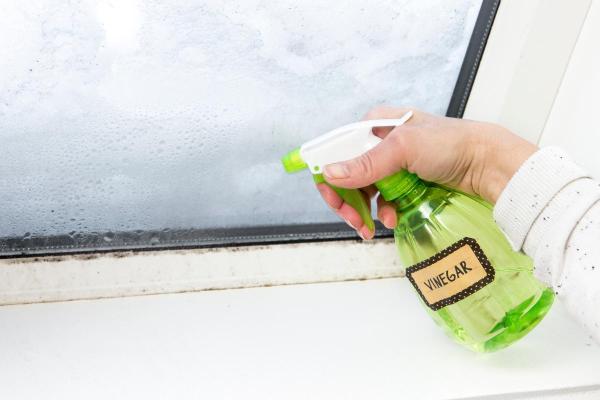 Worms Hanging From the Ceiling - White vinegar