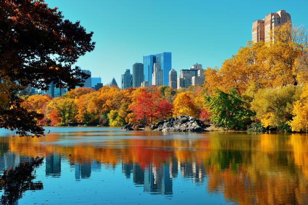 Why Are Green Spaces Important?