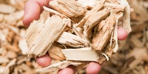 Why Do We Need to Save Wood?