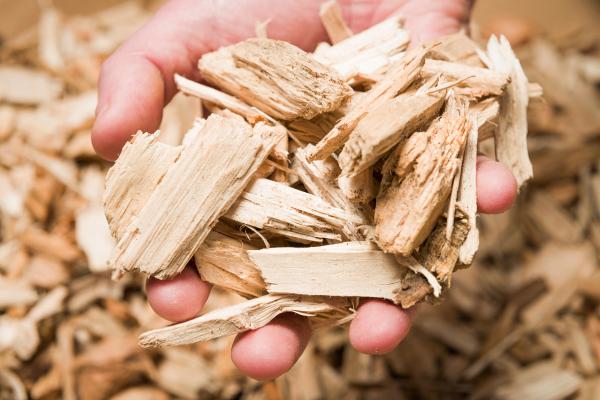 Why Do We Need to Save Wood?
