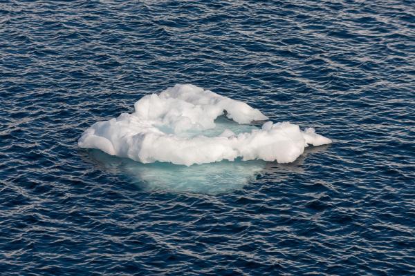 Why Does Ice Float on Water? - Why does ice float on water?