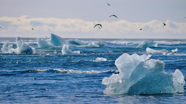 Why Does Ice Float on Water?