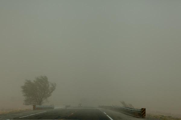 What Is Mud Rain? - Causes of Rain Dust - Why does mud rain occur?