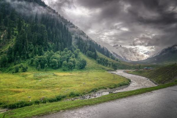 Why Is Air Important to Living Things? -