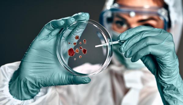 What Is Biosecurity and Why Is It Important? - Why is biosecurity important?